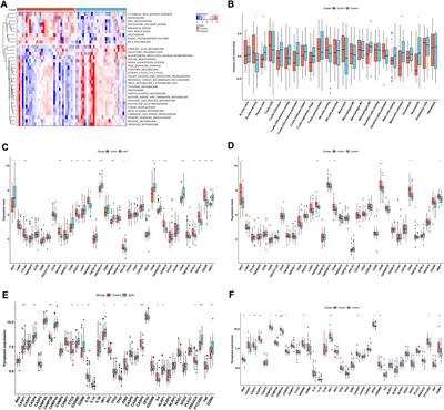 Integration of three machine learning algorithms identifies characteristic RNA binding proteins linked with diagnosis, immunity and pyroptosis of IgA nephropathy